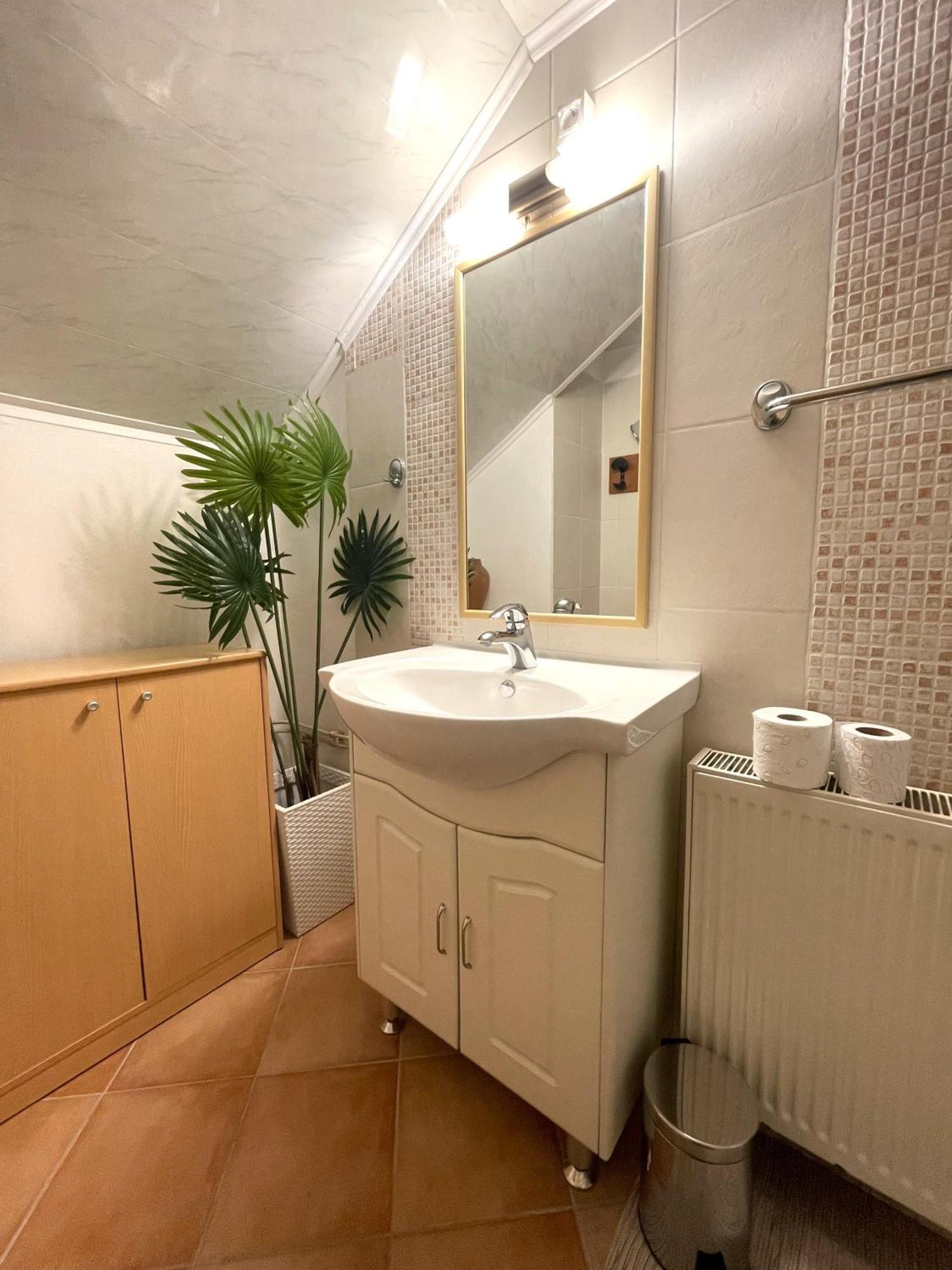 Apartma Savan Tolmin Kültér fotó