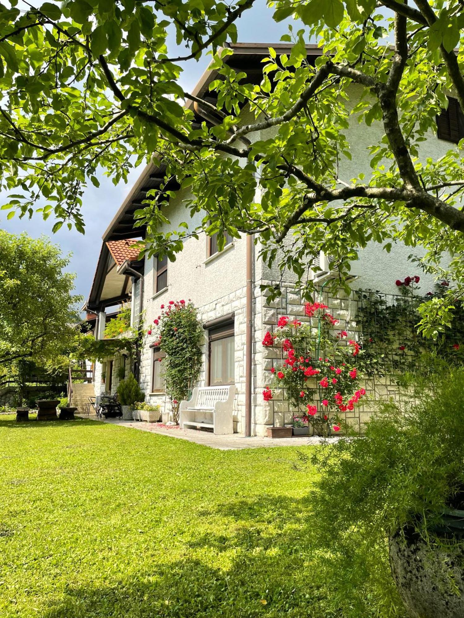 Apartma Savan Tolmin Kültér fotó