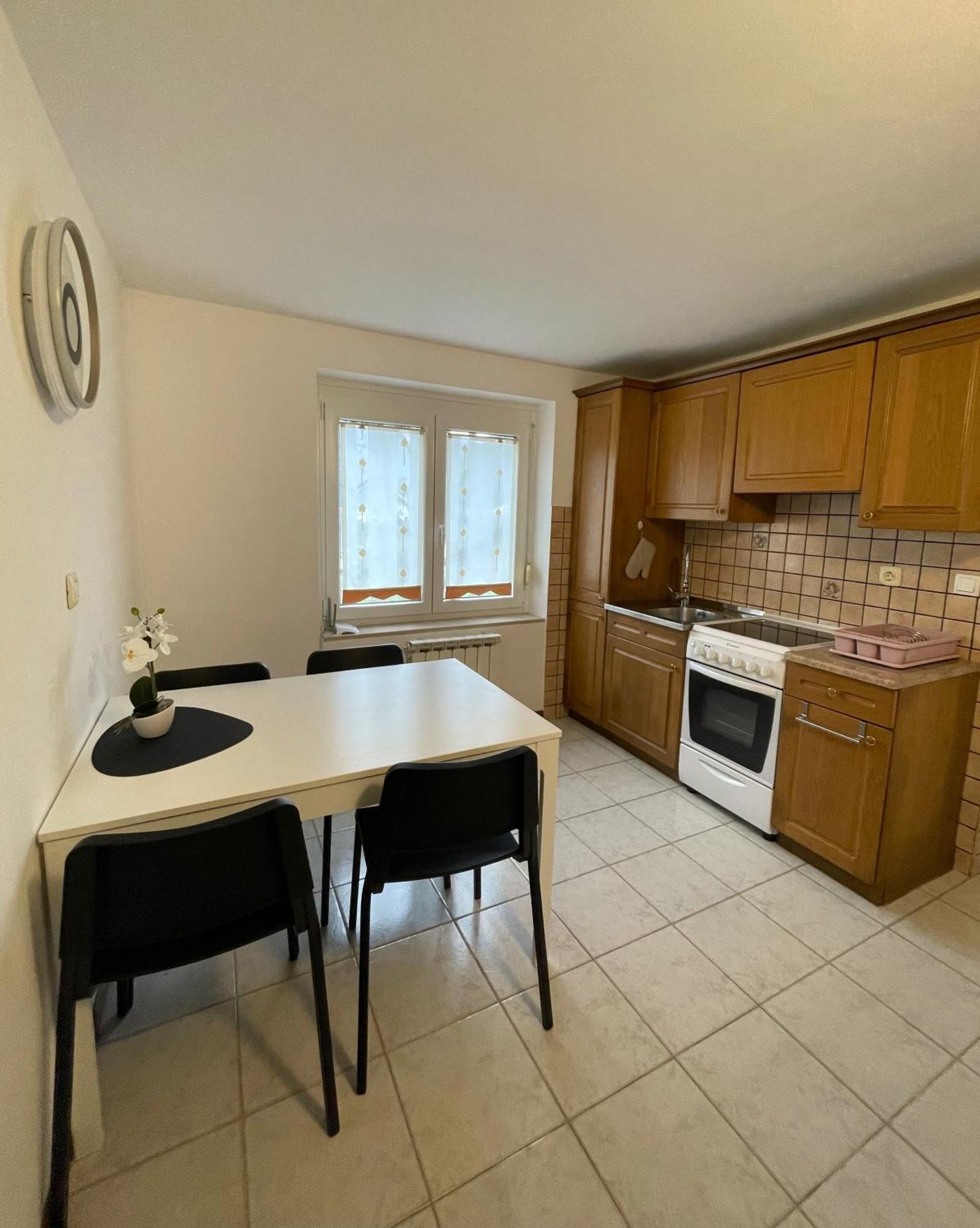 Apartma Savan Tolmin Kültér fotó