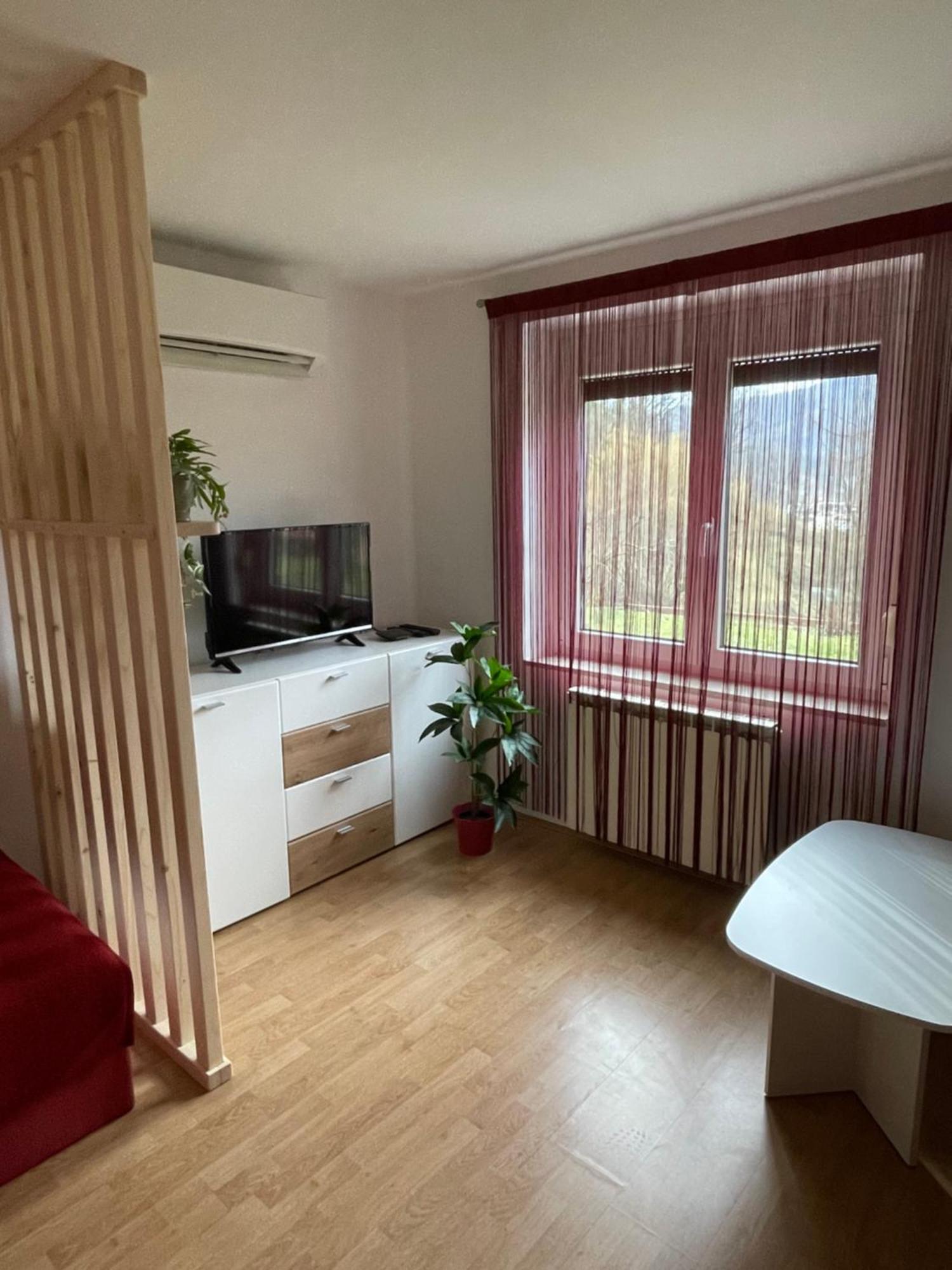 Apartma Savan Tolmin Kültér fotó